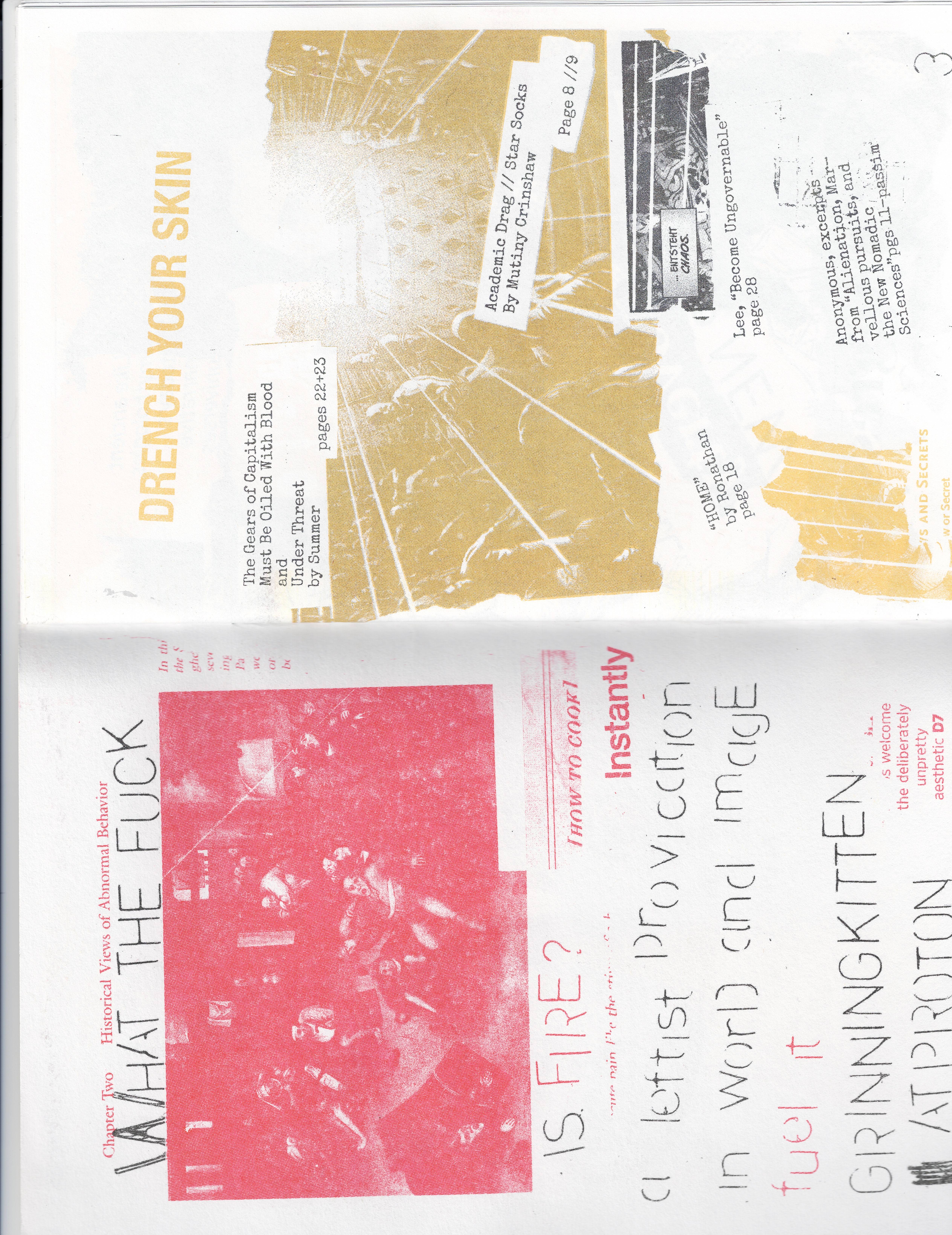 a spread from a zine. On the left in red are old-fashioned scene from a madhouse; the stenciled text reads “What the fuck is fire? A leftist provocation.” In the right, a yellow picture of people bathed in magical light, reading “Drench Your Skin” and featuring a table of contents.